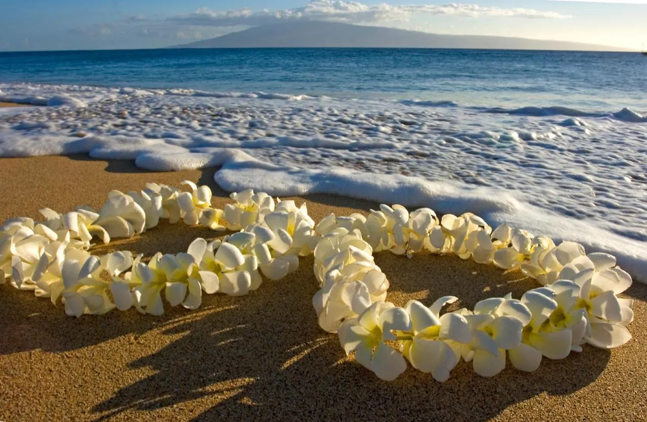 Apartment Aloha Hawaii, Waikiki Condo With Great Mountain Views & Free Parking! Honolulu